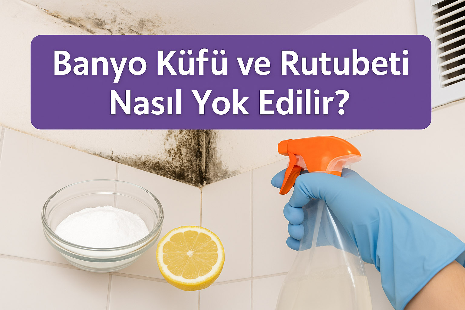 Banyo Küfü ve Rutubeti Nasıl Yok Edilir?